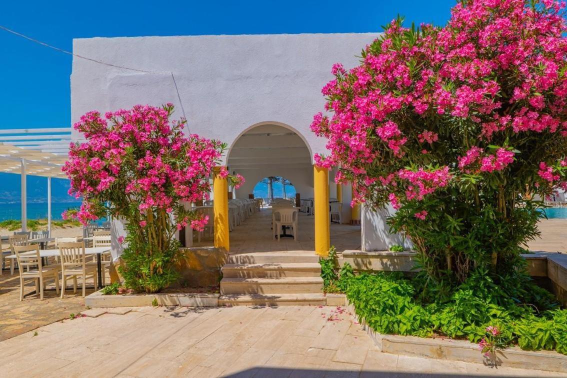 Dream Holiday Resort Burhaniye Exterior photo